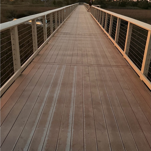 chaya1408